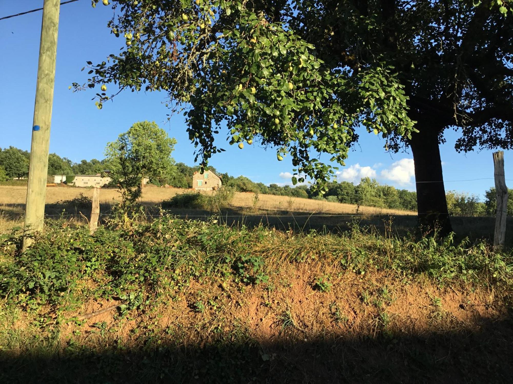 Le clos de rose Ussac Exterior foto